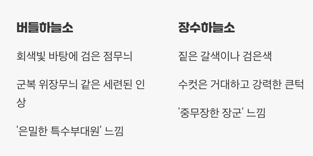 장수하늘소와 닮은 듯 다른 모습