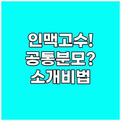 영어 네트워킹 고수가 알려주는 공통분..