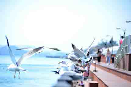 목포 가볼만한곳: 목포 여행 필수 코스 TOP 5