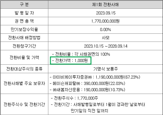 전환사채 내역