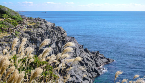 제주 올레 5코스 풍경