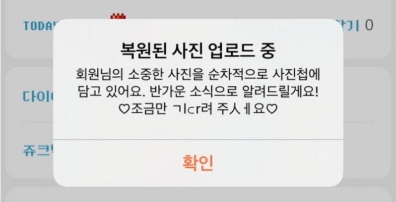 싸이월드 사진첩
