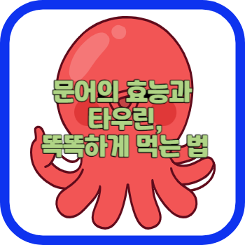 문어의 효능과 타우린&#44; 똑똑하게 먹는 법