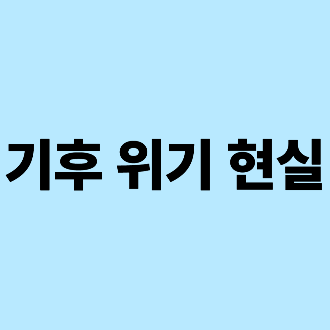 기후위기현실