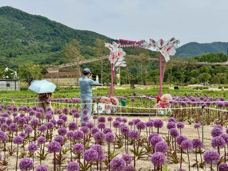 포천 한탄강 가든페스타 2026