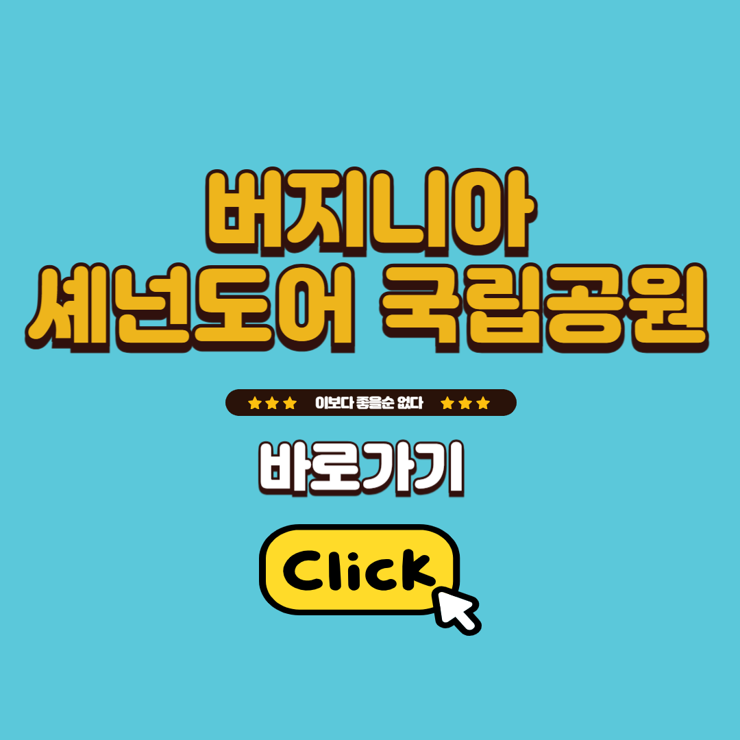 버지니아 셰넌도어 국립공원