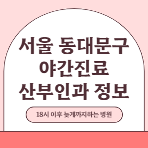 서울 동대문구 야간진료 산부인과 병원 (18시 이후 늦게까지하는 병원)