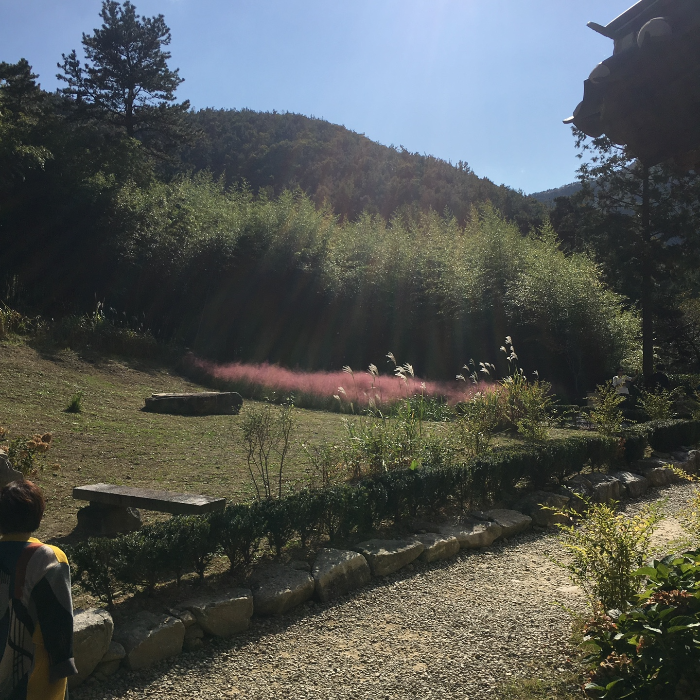 아원고택 뒷마당