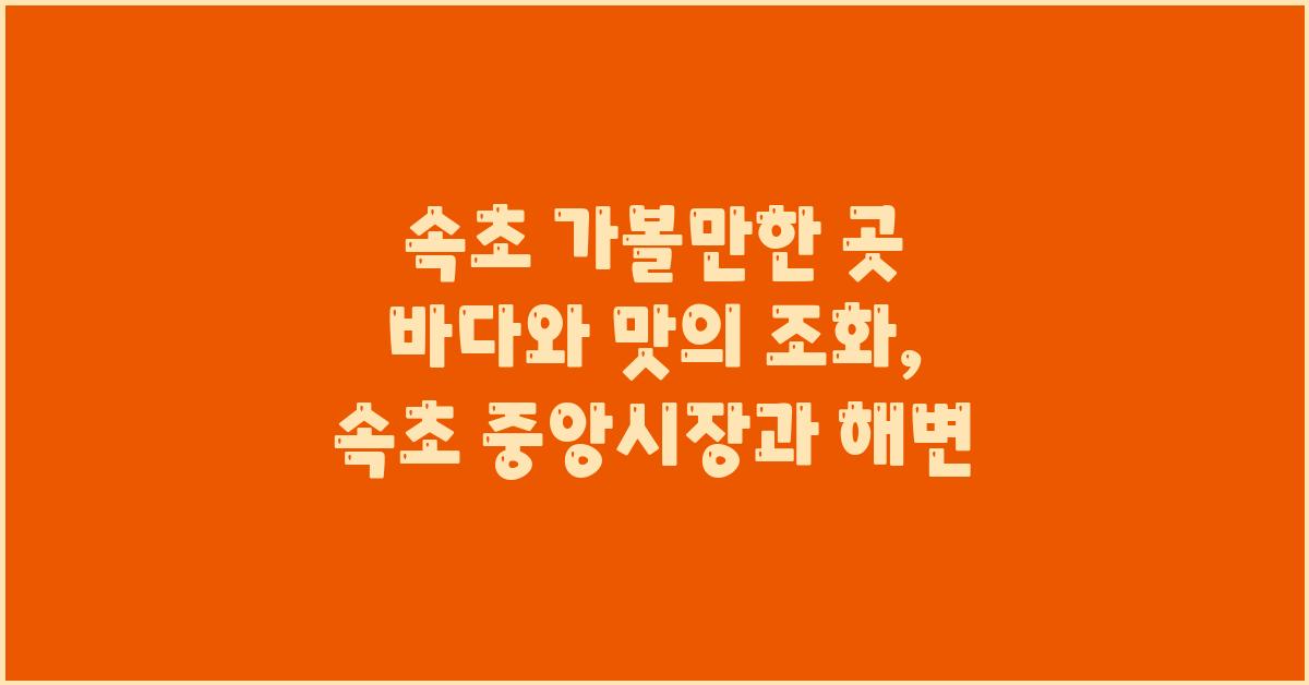 속초 가볼만한 곳