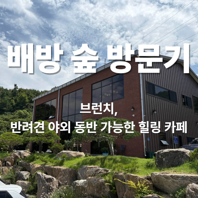 [아산 배방 카페] 배방 숲 방문기 ❘ 브런치, 반려견 야외 동반 가능한 힐링 카페