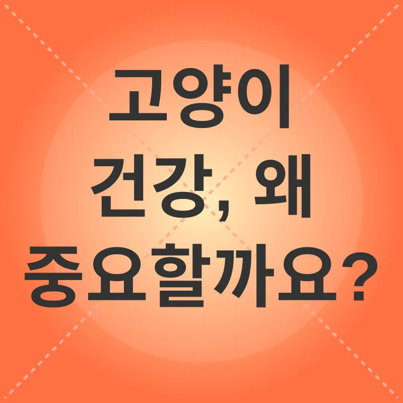 고양이 건강 관리_1