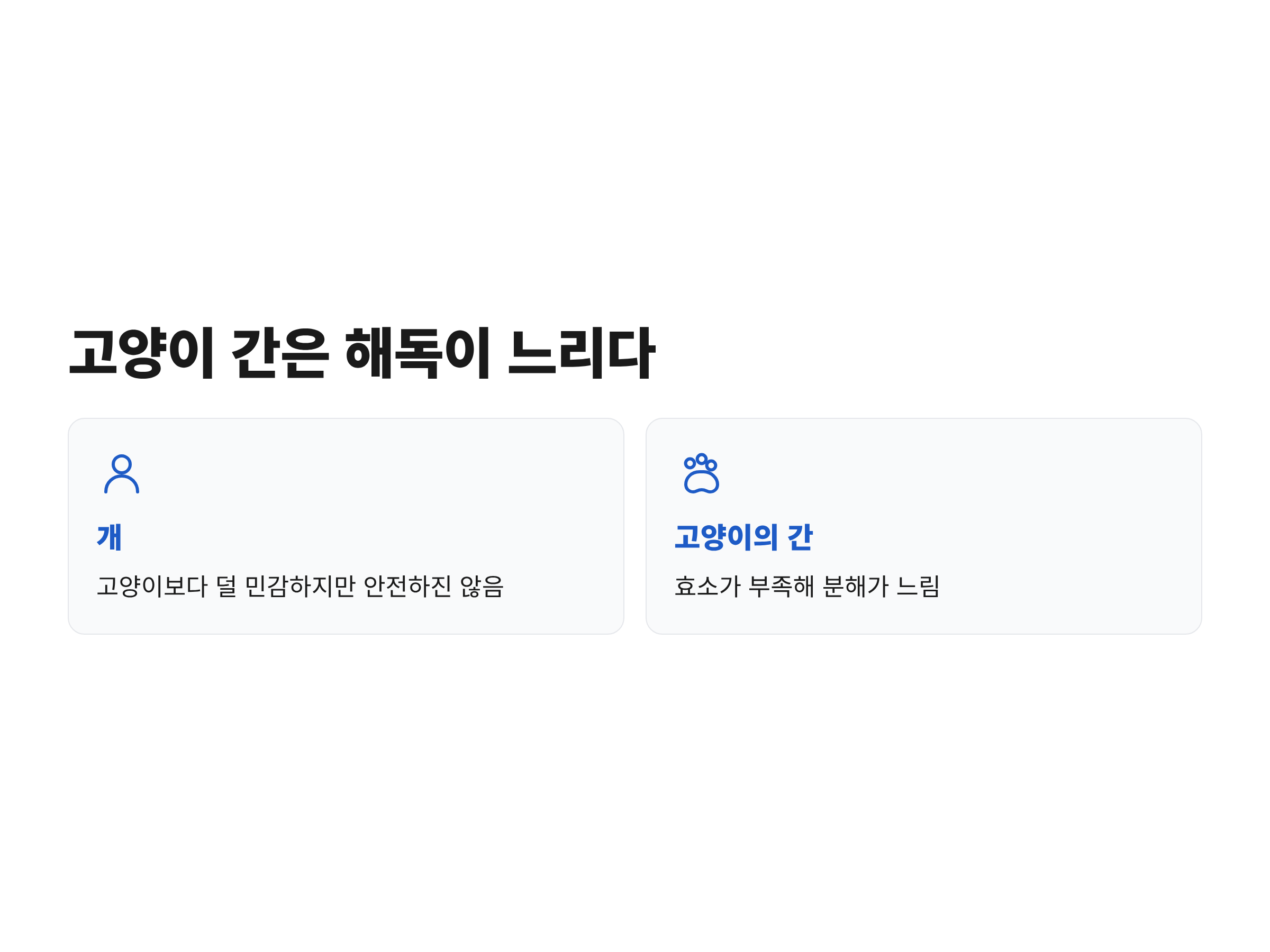 고양이 간의 해독 효소 부족으로 에센셜 오일 성분이 몸에 쌓이는 과정을 설명한 그림