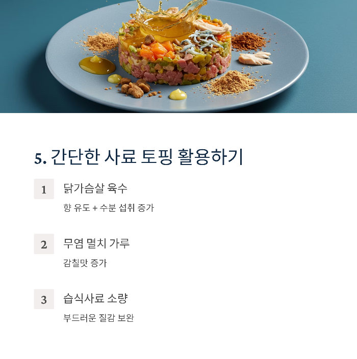 강아지 사료 안먹을 때