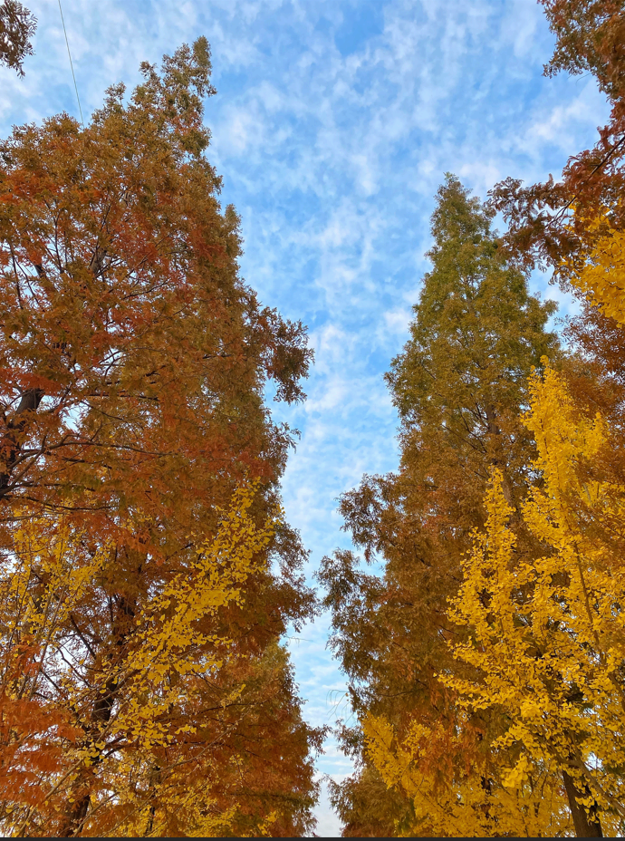 [충남 논산]사계절 내내 머물고 싶은 곳, 피나클랜드 수목원 이야기