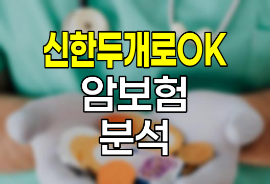 신한두개로OK암보험 심층 분석