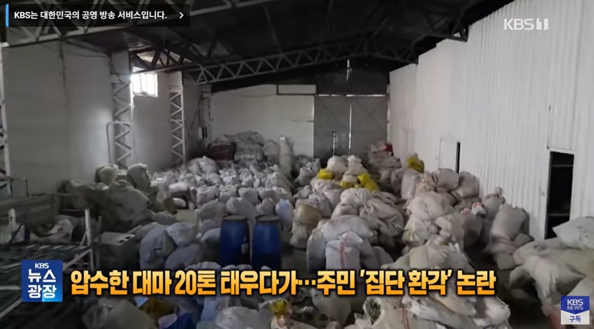 대마초 소각 사건