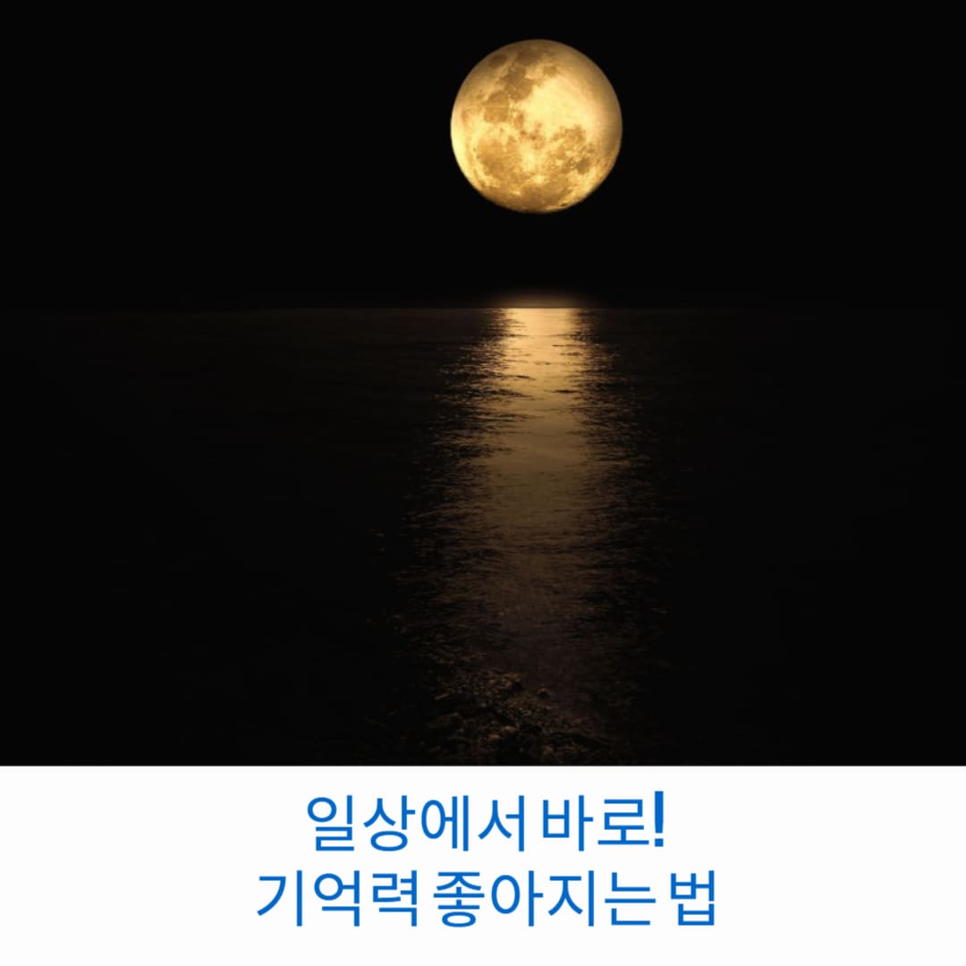 일상에서-바로-기억력-좋아지는-법-썸네일