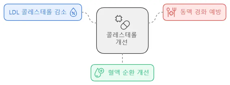 옥수수차 콜레스테롤 개선