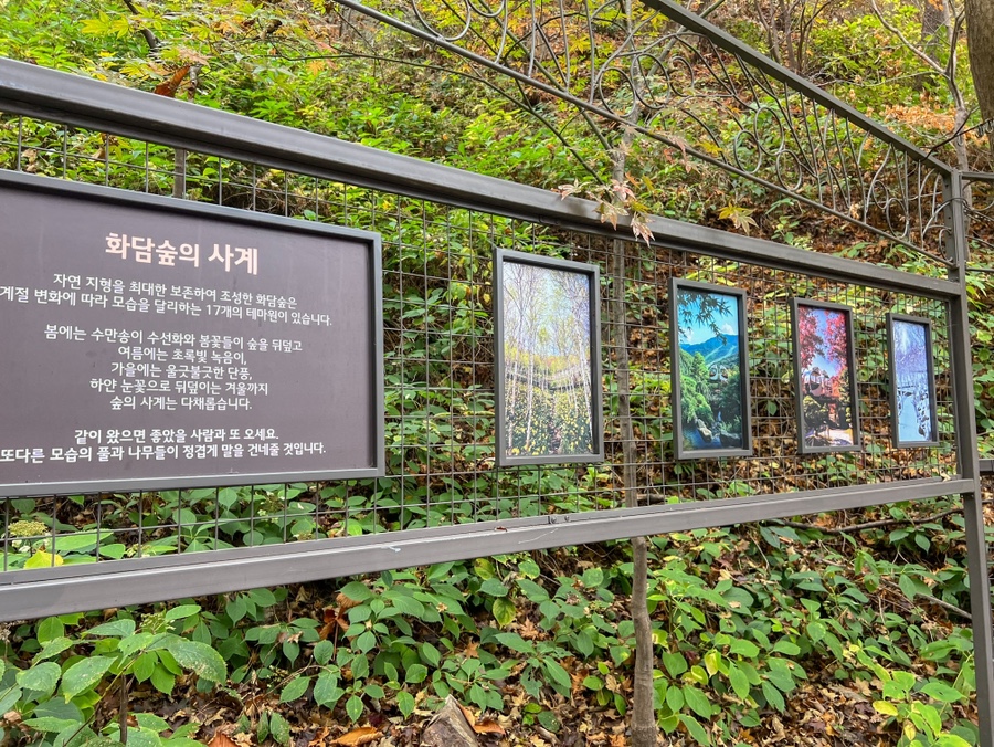 곤지암-화담숲-예약-전쟁-승리-2025년-최신-정보-총정리