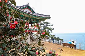 강진 백련사 동백축제 기본일정과 프로그램 소개