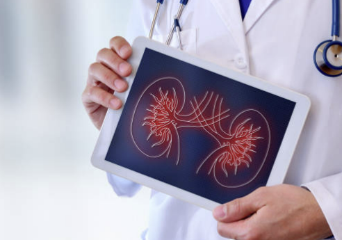 신장에 좋은 음식 7가지 조리법 나쁜 음식 등 총정리(최신)