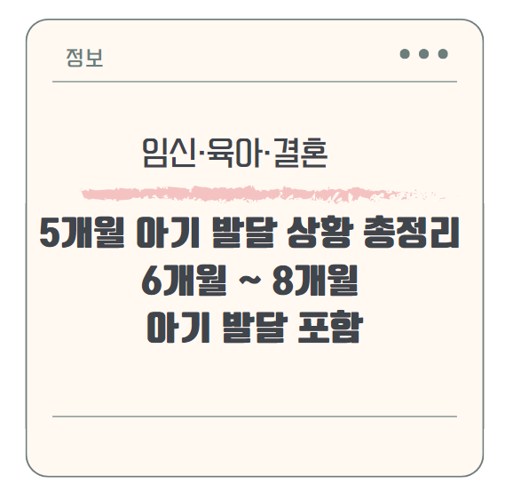 5개월 아기 발달 상황 총정리 (6개월 ~ 8개월 아기 발달 포함)