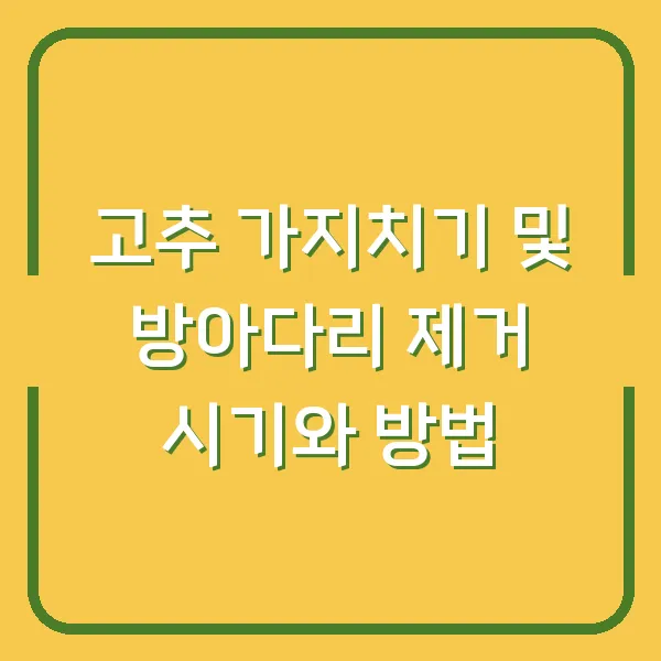 고추 가지치기 및 방아다리 제거 시기와 방법