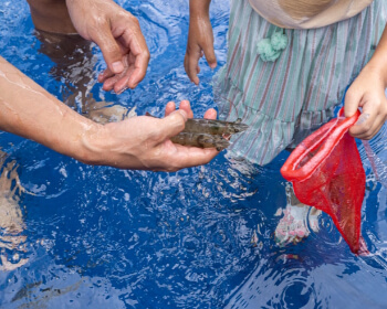 무창포 대하 전어축제_16
