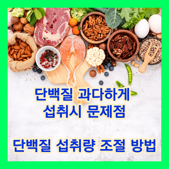 단백질 과다하게 섭취시 문제점 단백질 섭취량 조절 방법