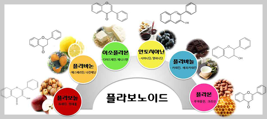 플라보노이드