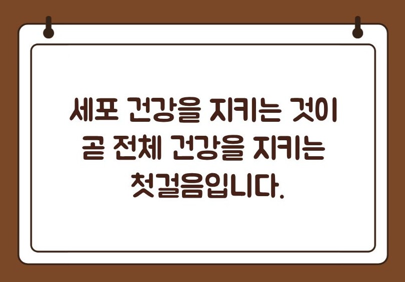 셀레늄 효능