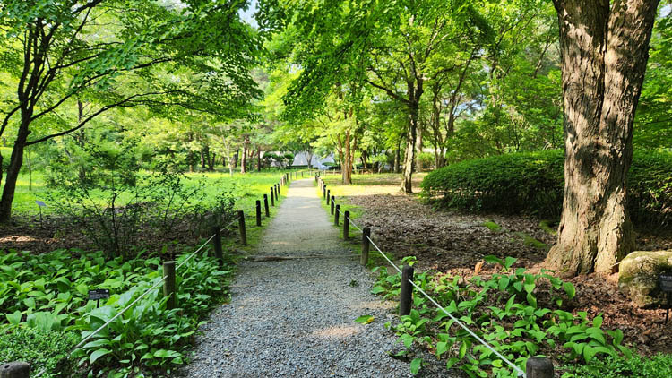 산림박물관가는길