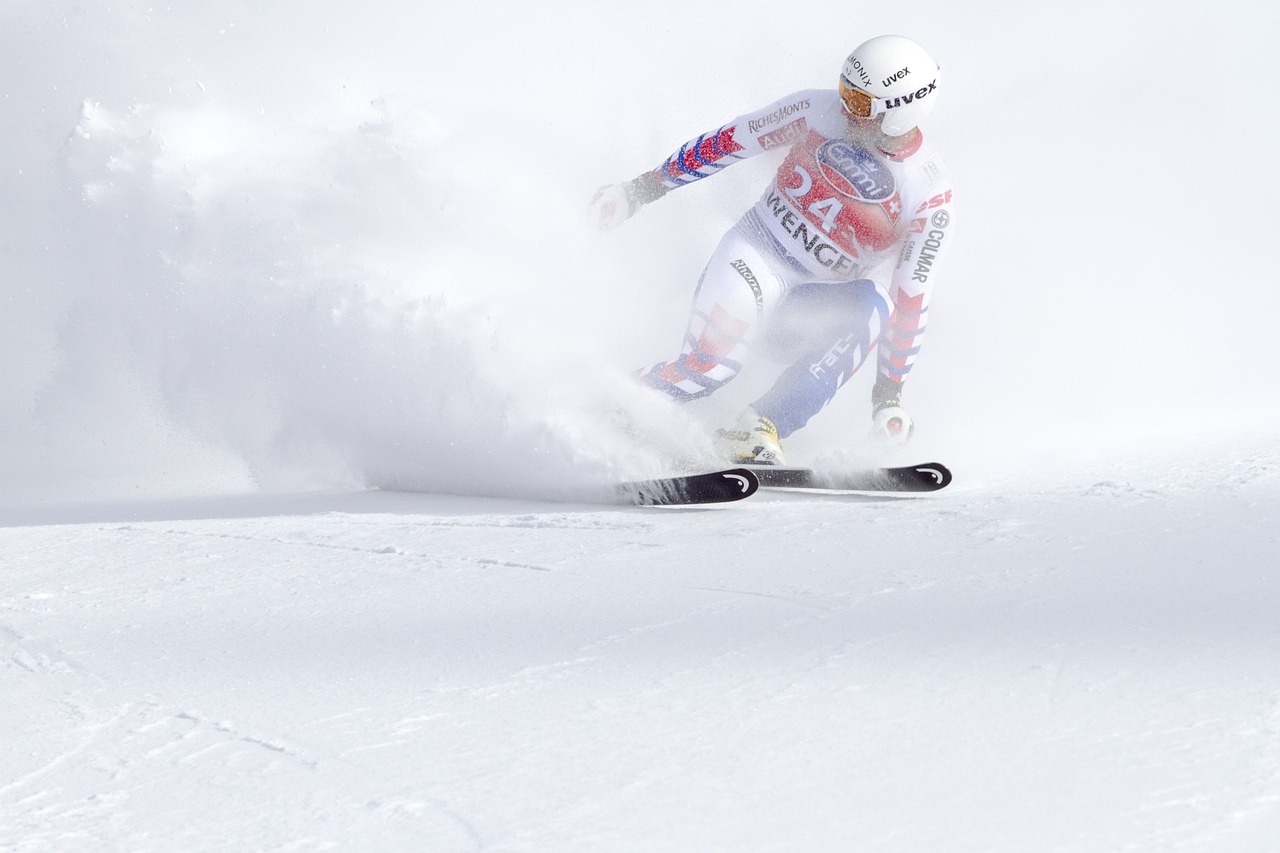 알파인스키