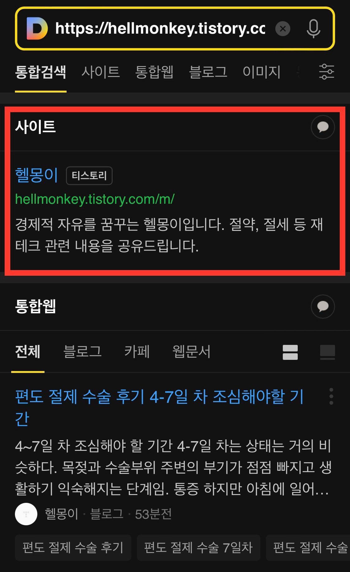 블로그 저품질인지 확인하는 방법
-다음 검색창에 티스토리 주소 검색