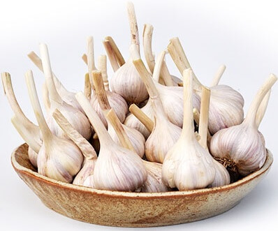 오늘N 2508회 가족이 뭐길래 경북 의성 토종마늘 농가 한톨 (의성한지형마늘, 깐마늘, 마늘쫑, 의성사과 주문방법)