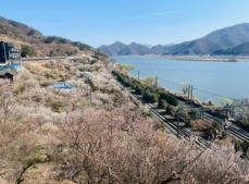 3월 국내 여행지 추천