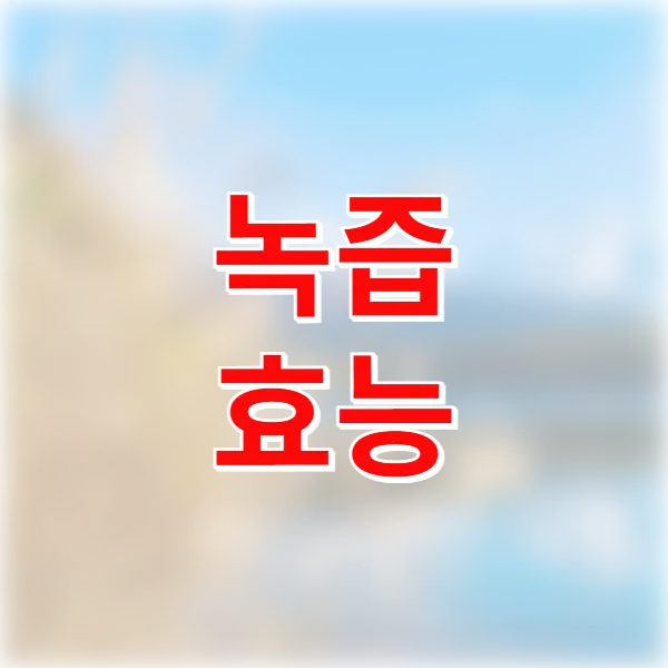 녹즙 효능