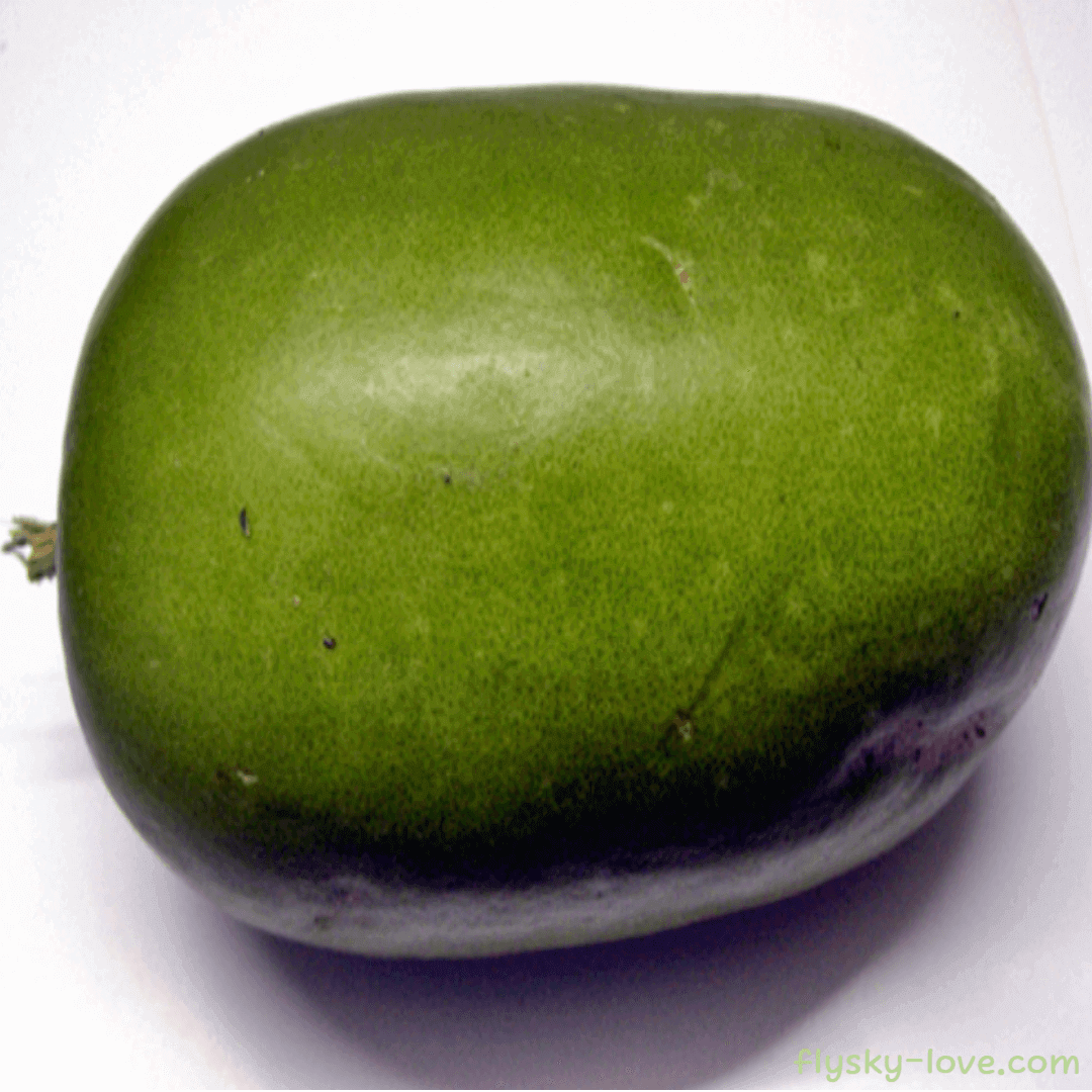 동과 (Winter Melon) 활용법