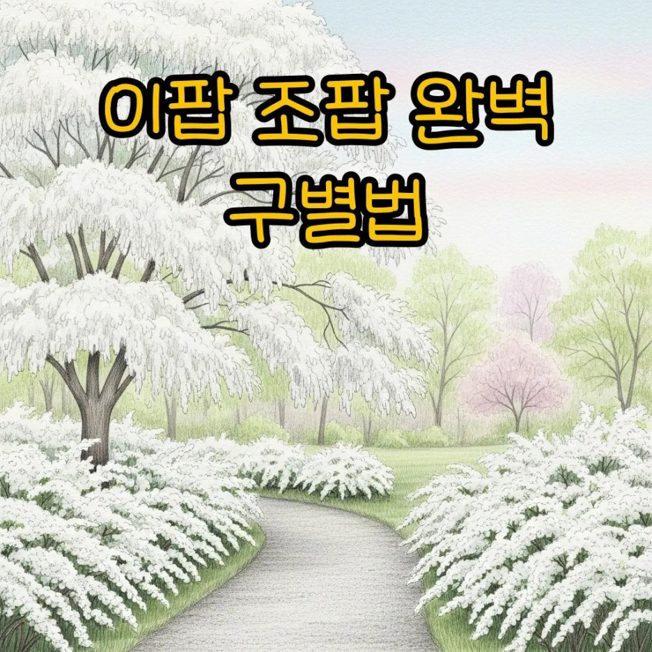 봄날의 공원에 핀 하얀 이팝나무와 조팝나무의 조화로운 풍경