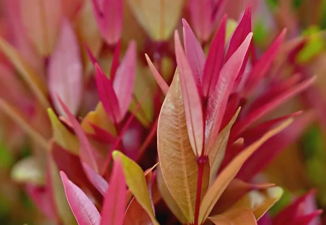 나 혼자만 레벨업 애니 3기 방영일정과 스토리 원작 차이_8