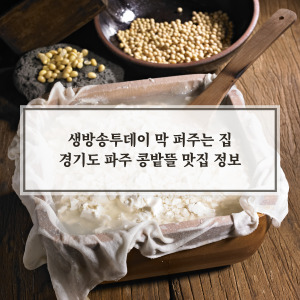 콩밭뜰 정보