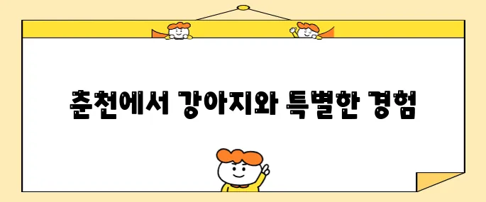 강원도 여행 강아지와 함께하는 춘천의 헤이 춘천 펫룸에서 특별한 시간을 가져보세요