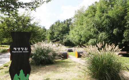 서울 단풍 명소 베스트 5