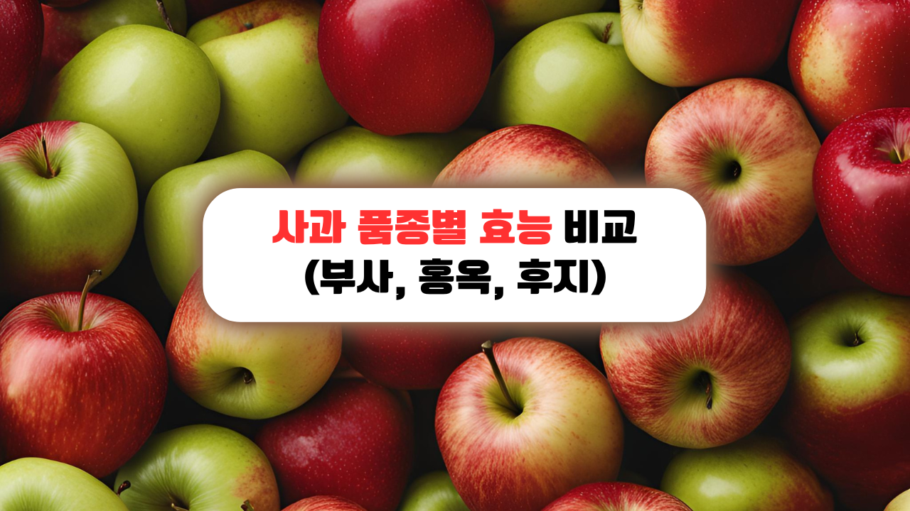 사과 품종별 효능 비교 (부사, 홍옥, 후지), 사과 모둠 사진