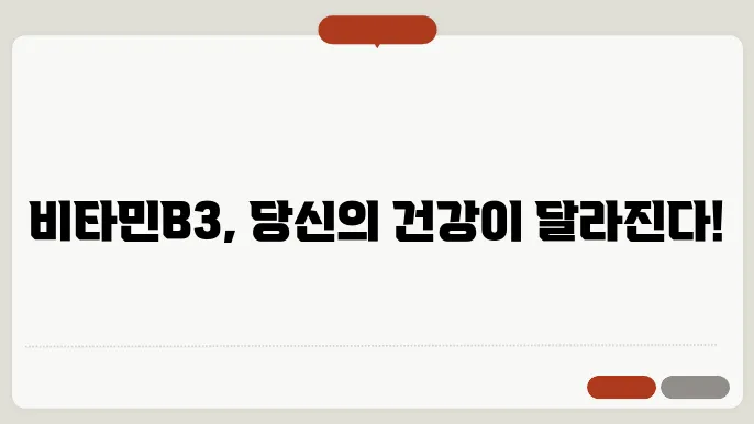 비타민B3 화채 정리