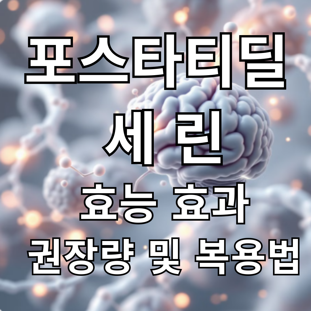 포스타티딜세린 효능 효과