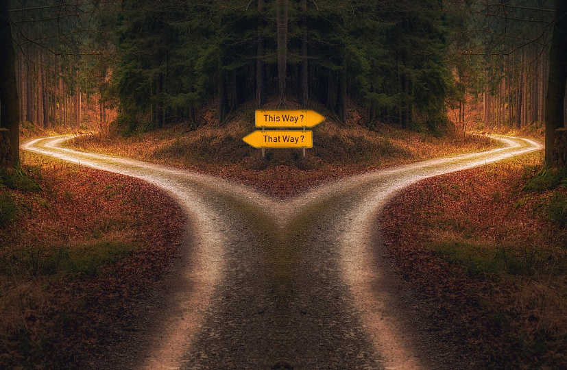 기준을 너무 많이 세웠을 때 오히려 관리가 어려워지는 이유