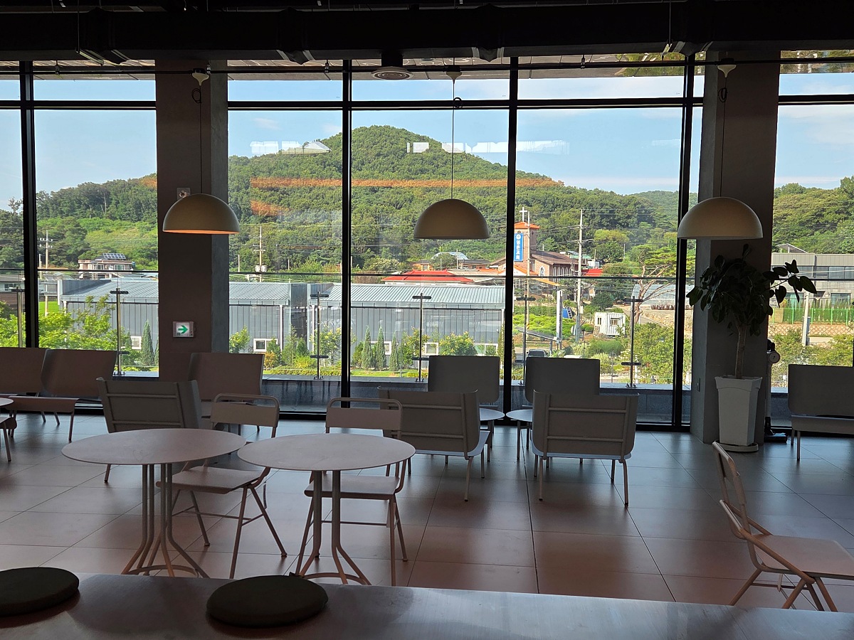 강화도 대형카페 두운리&amp;#44; 초록의 목수국 정원까지 즐기는 강화도 갈만한곳