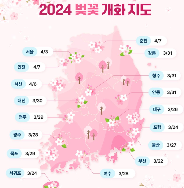벚꽃개화지도