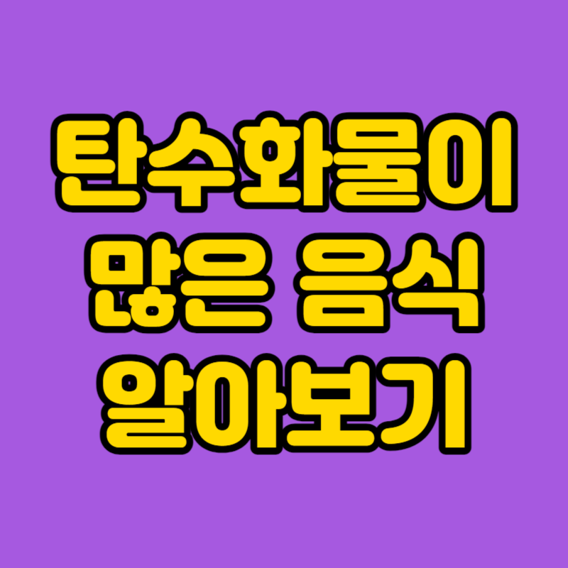 탄수화물이 많은 음식